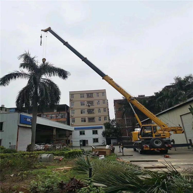 浦城吊车出租的费用解析：你不可不知的行业秘密